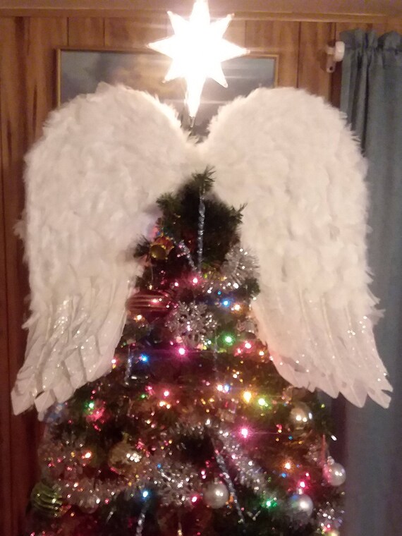 angel wing tree