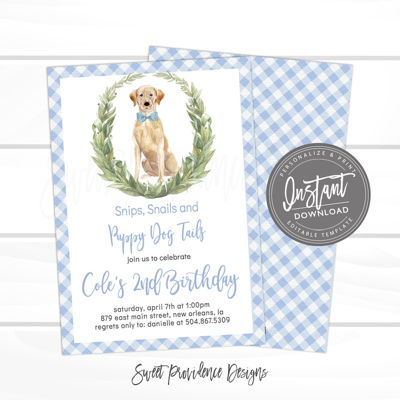 May include: A blue and white gingham background with a white card featuring a watercolor illustration of a yellow labrador retriever wearing a blue bow tie. The text on the card reads "Snips, Snails and Puppy Dog Tails. Join us to celebrate Cole's 2nd Birthday. Saturday, April 7th at 1:00pm. 879 East Main Street, New Orleans, LA. Regrets only to: Danielle at 504.867.5309. Sweet Providence Designs."