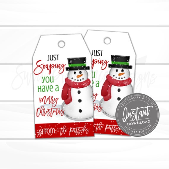 Printable Hand Soap Gift Tag, Teacher Holiday Gift, Just Soapin You