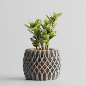 Può includere: Una pianta di ZZ in un vaso decorativo grigio e marrone. Il vaso presenta un motivo geometrico. La pianta ha foglie verde brillante ed è centrata. Lo sfondo è bianco.