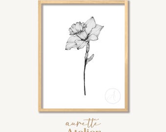 Minimalist Daffodil Line Drawing, Modern Botanical Wall Art (Digital Download)