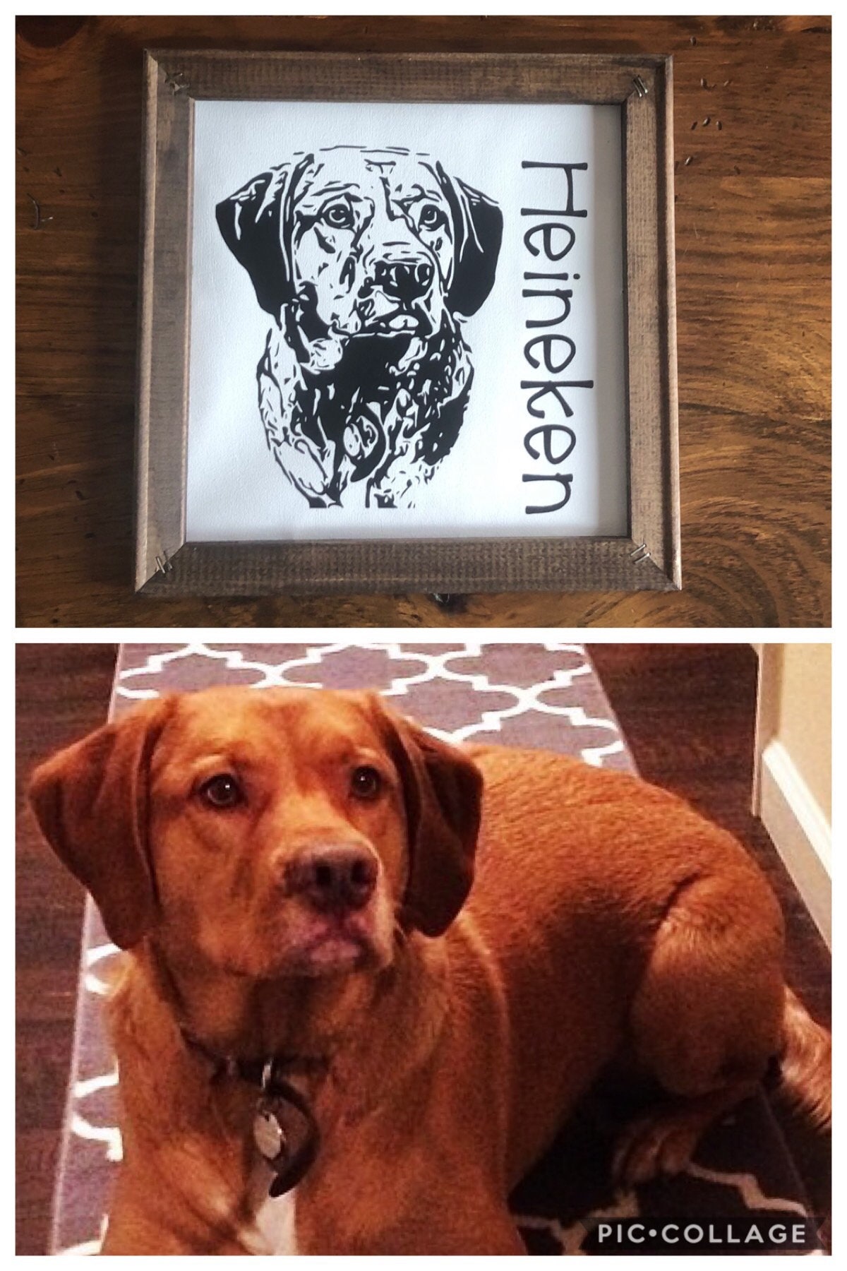 Personalized Pet Canvas - Gift Idea For Pet Owner with up to 12 Pets - Pet Lover Home Decor