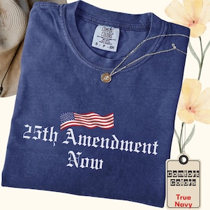 Comfort Colors 25th Amendment Now T-Shirt, Political Statement Tee