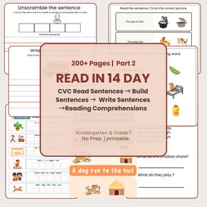 Grade 1 and Kindergarten Read Simple Sentences in 14 Days | CVC Reading Worksheets | Kindergarten Grade 1 Phonics Printable