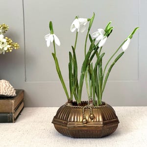 May include: A metallic bronze-toned planter with a ribbed, oval-shaped body and a decorative rope-style trim featuring two small hanging spheres. The planter contains several green stems topped with white, bell-shaped snowdrop flowers.