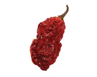 10 Pimiento Fantasma Entero Semilla de Chili Pods Bhut Jolokia Chili Pepper Spice +2 Gratis