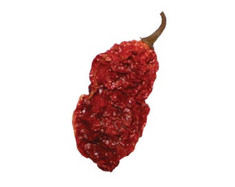 10 Whole Ghost Pepper Entire Chili Seed Pods Bhut Jolokia Chili Pepper Spice +2 Free