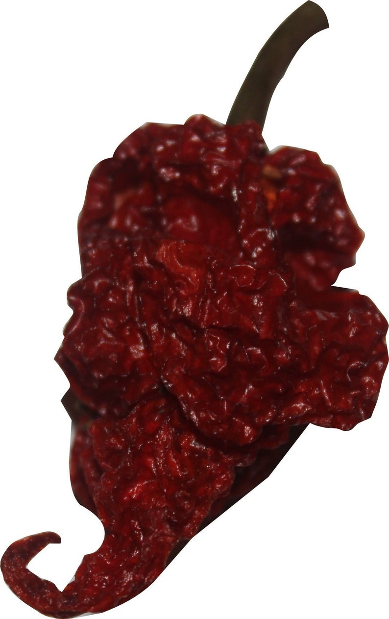 Puede incluir: Un solo chile rojo seco con una textura arrugada y abultada. El chile es de color rojo intenso y tiene un tallo largo y delgado.