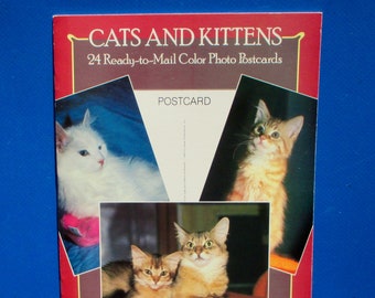 Pode incluir: Um livro intitulado "Gatos e Gatinhos" com 24 cartões postais fotográficos coloridos prontos para enviar. A capa apresenta três gatos diferentes, um gato branco, um gato tigrado marrom e um gato ruivo.