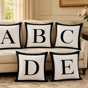 May include: Five square throw pillows with white fabric centers and black borders. Each pillow features a large, bold, black serif letter centered on the front. The letters displayed are A, B, C, D, and E, arranged in two rows on a sofa.