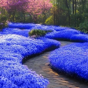 May include: A garden path meanders through a carpet of vivid blue flowers. Pink blossom trees and verdant green foliage surround the path, creating a scenic landscape. The path is made of stone.