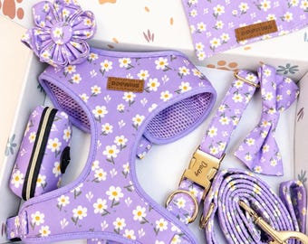 Personalized Purple Daisy Dog Harness, Collar, Leash Set, Engraved Buckle