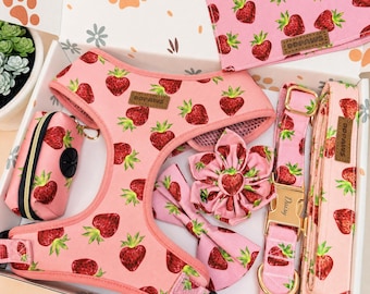 Personalized Straberry Dog Harness, Collar, Leash Set, Engraved Buckle
