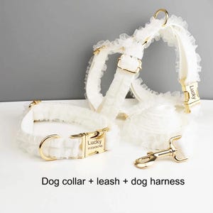 Personalized No Pull Dog Harness Collar Leash Wedding White Lace Set - Engravable Bucket