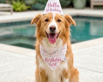 Personalized Dog Birthday Hat & Bandana Set – Embroidered Pup Name, Pink/Blue/White Party Decor