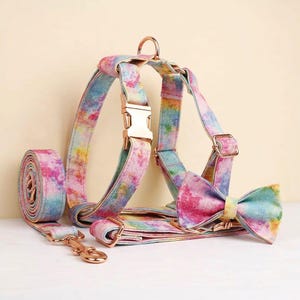 Conjunto personalizado de arnés, collar y correa para perros sin tirones con estampado de arcoíris de ensueño - Cubo grabable