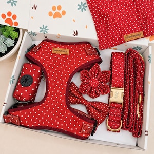 May include: A red pet harness set with white polka dots, including a harness, a leash, a collar with a gold buckle labeled Daisy, a bow tie, a flower accessory, and a waste bag dispenser. Each item features a brown DDPAWS brand tag.