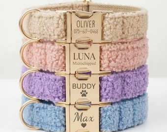 Personalized Teddy Dog Collar Leash Set - Engravable Bucket For Puppy