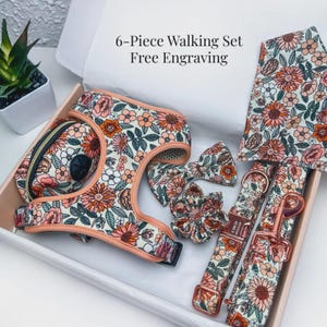 Può includere: Un set da passeggio per cani composto da sei pezzi con un motivo floreale, presentato in una scatola. Il set include un'imbracatura, un guinzaglio, un papillon, un accessorio floreale e un porta sacchetti per rifiuti. Il testo "6-Piece Walking Set Free Engraving" è visibile.