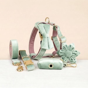Conjunto personalizado de arnés, collar y correa para perro sin tirones, color verde menta y terciopelo rosa - Cubo grabable