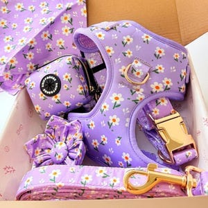 May include: A lavender pet accessory set featuring a harness, leash, waste bag, and bow tie. The set is adorned with a white daisy floral pattern. The harness has gold-colored metal hardware. The waste bag has the text "SHIPPOOP".