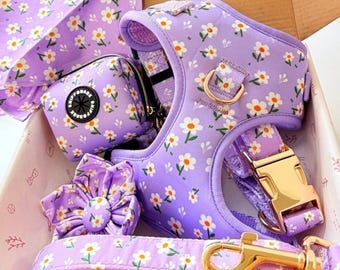Floral Dog Harness Set, Personalized Purple Daisy Collar & Leash, 6-Piece Matching Walking Set, Adjustable No-Pull Vest