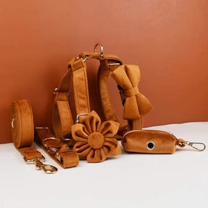 Personalized Velvet Dog Collar Set – Ancient Pottery Style, Engraved Buckle