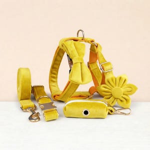 Personalized No Pull Dog Harness Collar Leash Yellow Velvet Set - Engravable Bucket