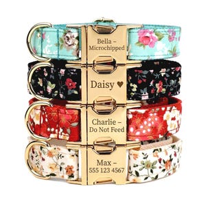 May include: Four floral patterned dog collars in teal, black, red, and cream, stacked together. Each collar has a gold-coloured buckle engraved with a name and information. The text includes "Bella - Microchipped", "Daisy", "Charlie - Do Not Feed", and "Max - 555 123 4567".