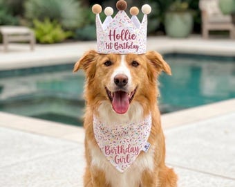 Personalized Dog Birthday Hat & Bandana Set – Embroidered Pup Name, Pink/Blue/White Party Decor