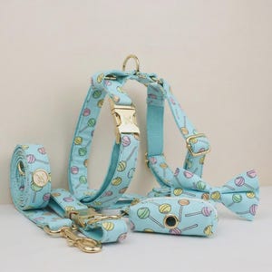 Può includere: Un set per animali domestici composto da pettorina, guinzaglio, papillon e portasacchetti igienici, color azzurro con un motivo ripetuto di lecca-lecca colorati. Il set presenta finiture in metallo dorato, incluse fibbie, anelli a D e un ciondolo.