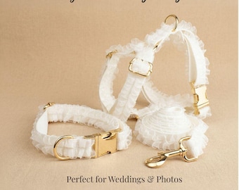 Set di collare, guinzaglio e pettorina per cani incisi, pizzo bianco da sposa, nylon di lusso