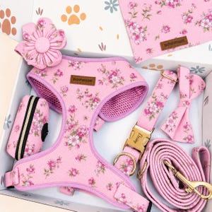May include: A pink pet accessory set featuring a floral pattern, including a harness with a DDPAWS label, a leash, a collar with a gold buckle engraved with the name Daisy, a bow tie, a flower attachment, and a waste bag dispenser.