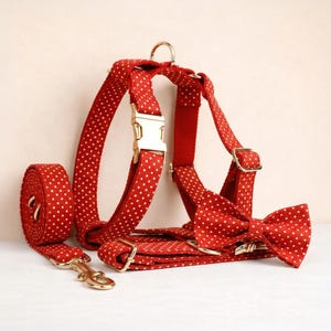 Personalized Red Polka Dot Dog Harness, Collar, Leash Set – Engraved Buckle