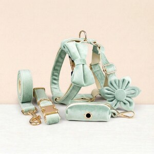 Personalized No Pull Dog Harness Collar Leash Mint Green Velvet Set - Engravable Bucket