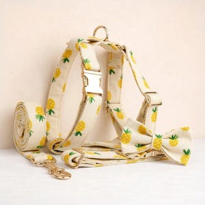 Personalized No Pull Dog Harness Collar Leash Pineapple Print Cotton Set - Engravable Bucket