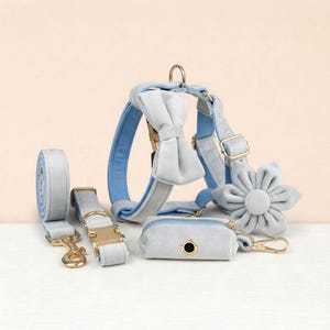 Conjunto personalizado de arnés, collar y correa para perro sin tirones, color azul claro y terciopelo - Cubo grabable
