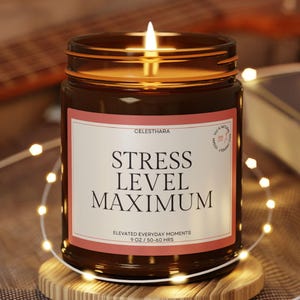 Funny Student Stress Humor Candle Gift For Exam Week Study Relief Dorm Decor Busy College Mood Reset Present Stress Level Maximum