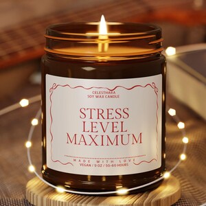 May include: A lit soy wax candle in a brown glass jar with the text "STRESS LEVEL MAXIMUM" on a white label. The candle sits on a small wooden coaster, surrounded by string lights. A guitar and book are in the background.