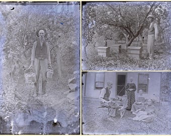 アンティークガラスネガ3枚セット｜養蜂家と田舎の養蜂場｜1900年代初頭のオリジナル写真乾板