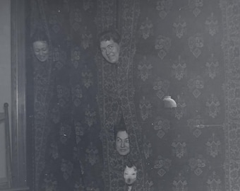 Antique Glass Plate Negative Women Behind Curtain Dog c1900 Victorian Humor Photograph 4x5