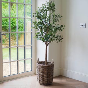May include: An artificial olive tree with green leaves and black olives in a woven wicker basket. The tree's brown trunk rises from the basket, placed near a window. The basket has two handles and sits on a wooden floor.
