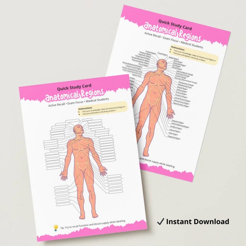 Push Body Labeling Anatomy Worksheet – Human Body Labeling Activity | Anatomical Regions ...