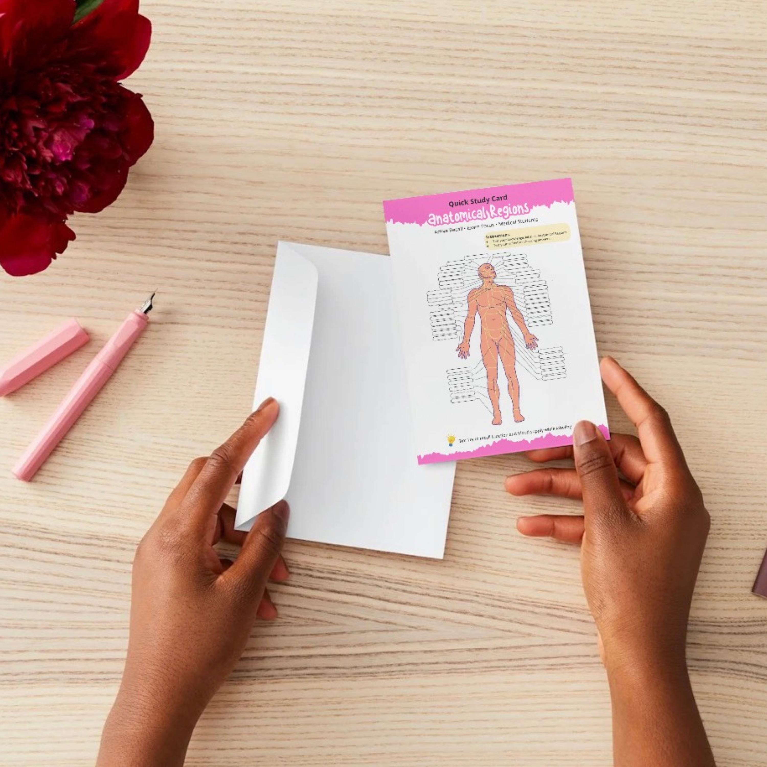 Anatomy Worksheet – Human Body Labeling Activity | Anatomical Regions ...