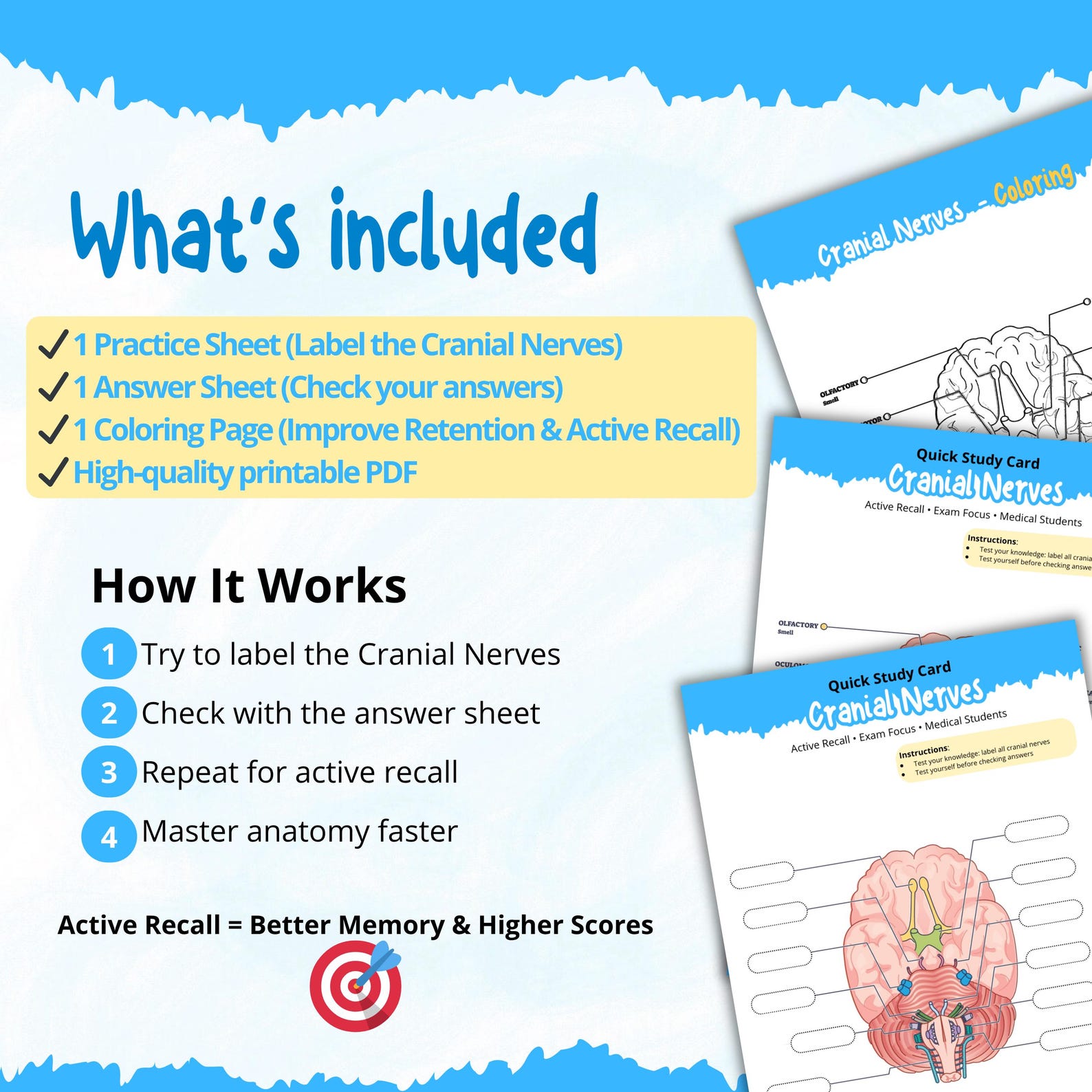 Cranial Nerves Worksheet Printable | Nursing Neuro Anatomy Study Guide ...