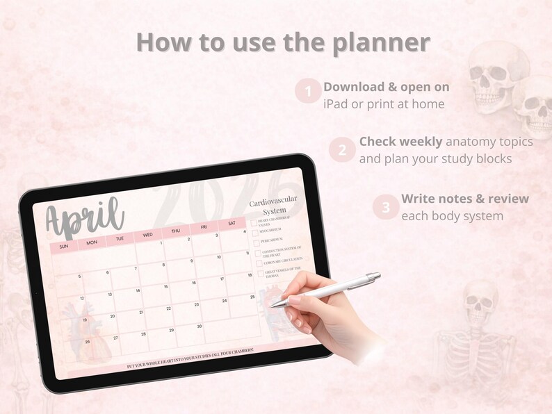 Anatomy Study Planner 2026 – Digital Anatomy Planner for Medical &amp; Nursing Students - Etsy