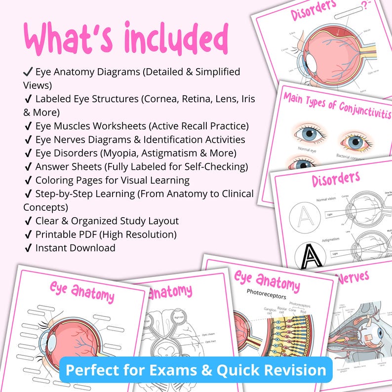 Eye Anatomy Worksheets | Labeling, Coloring & Study Pack | Eye Muscles ...