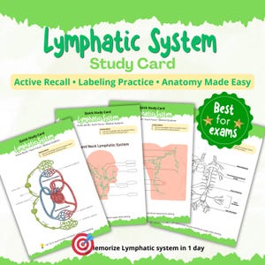 May include: A set of study cards for the Lymphatic System. The cards feature diagrams and text, including "Active Recall," "Labeling Practice," and "Anatomy Made Easy." The cards are labeled "Quick Study Card" and are designed for medical students.