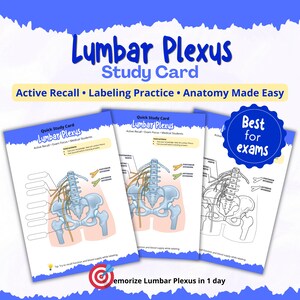 May include: Study cards for the Lumbar Plexus, featuring anatomical diagrams and labeling practice. The cards are designed for active recall and exam focus, with the text "Active Recall • Labeling Practice • Anatomy Made Easy". The cards are labeled "Quick Study Card".