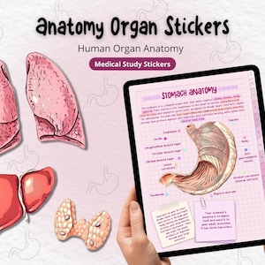 Op de afbeelding: Anatomie orgaanstickers met illustraties van longen, lever en schildklier. Een tablet toont een maagdiagram met labels. De tekst luidt "anatomy Organ Stickers" en "Human Organ Anatomy". Medische studie stickers.
